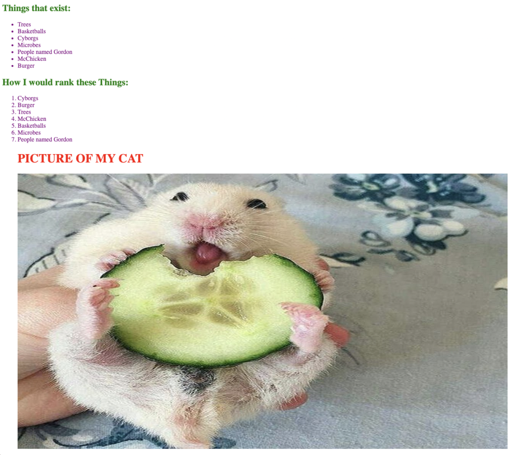 Screenshot of a website with text reading:

Things that exist:
Trees
Basketballs
Cyborgs
Microbes
People named Gordon
McChicken
Burger
How I would rank these Things:
Cyborgs
Burger
Trees
McChicken
Basketballs
Microbes
People named Gordon
PICTURE OF MY CAT

Under "The picture of my cat" is a picture of a hamster holding a cucumber.